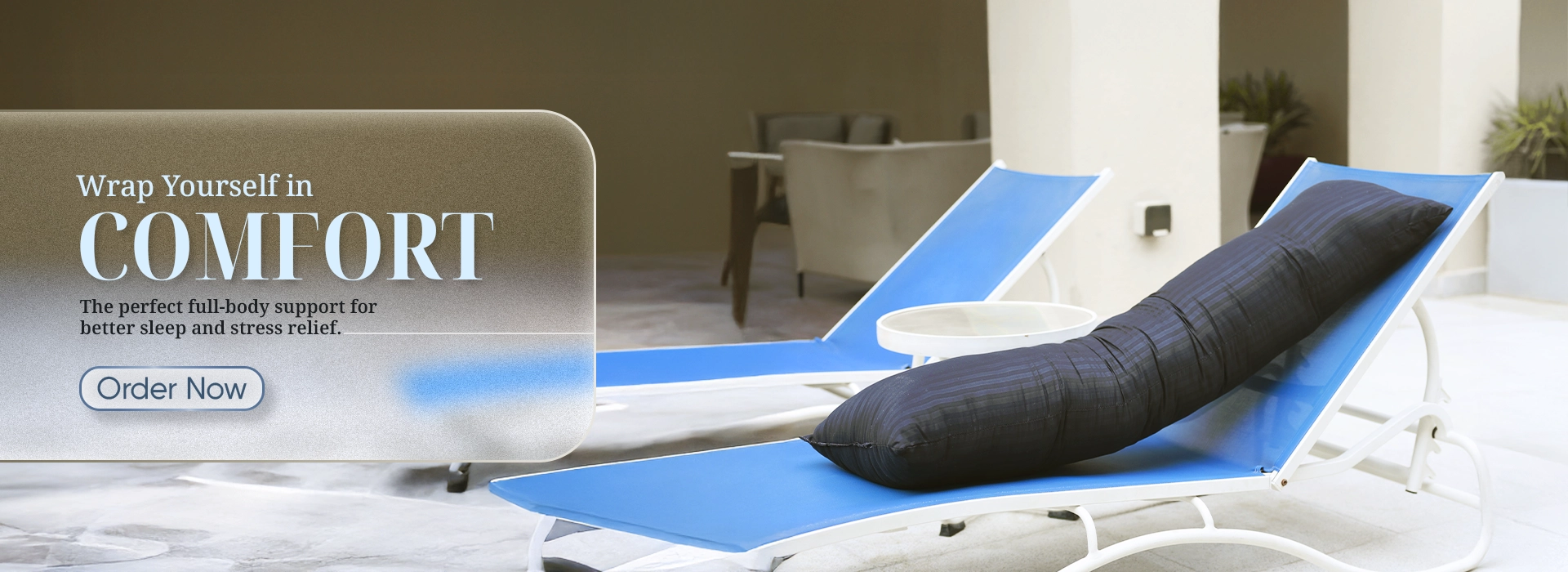 web banner pioneer 6